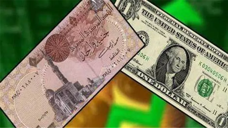 أرتفع 39 قرشاً.. كيف تحرك الدولار في البنوك خلال تعاملات الأسبوع الماضي