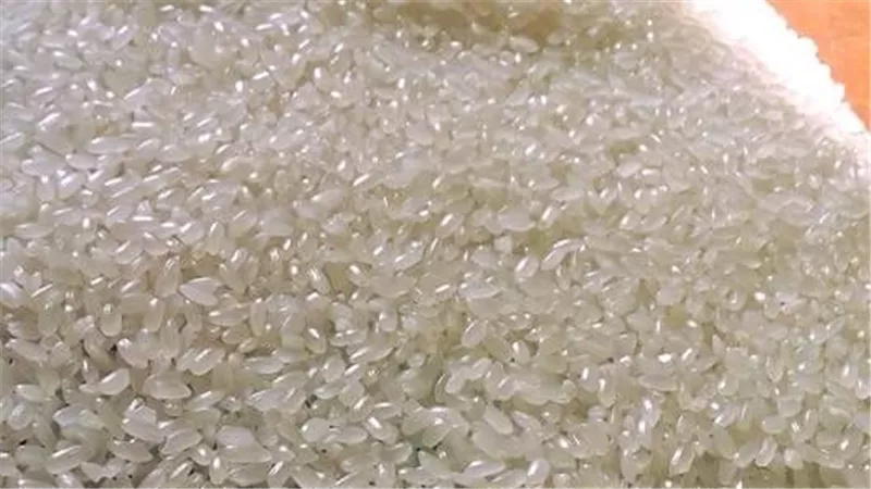 خبير: لا يمكن زراعة الأرز الصيني في الصحراء و