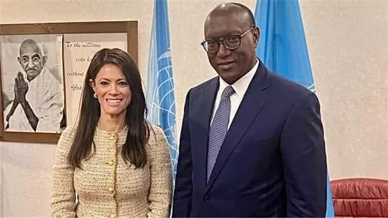 المشاط: نعمل مع بنك التنمية الأفريقي لدعم النمو الشامل وتسريع التحول الأخضر