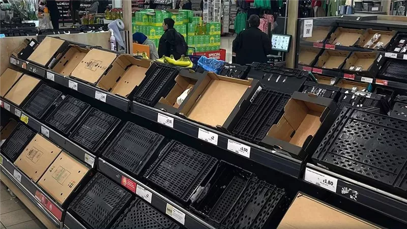 3 حبات طماطم بس لو هتشتري.. أزمة طاحنة في نقص معروض البيض والخضروات والحبوب ببريطانيا