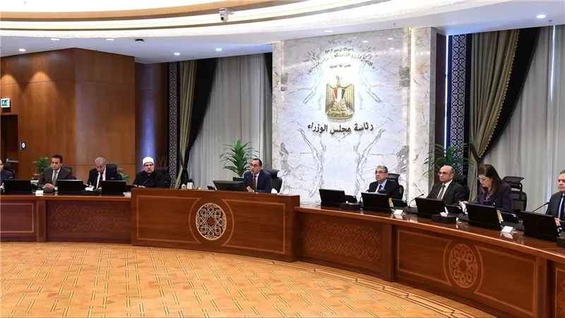 الحكومة: طرح 4 شركات  كبرى من خلال بنوك استثمار دولية