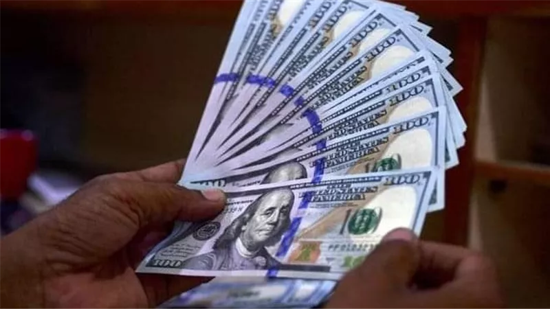 ارتفاع صافي احتياطيات المركزي التركي من النقد الأجنبي إلى 20 مليار دولار