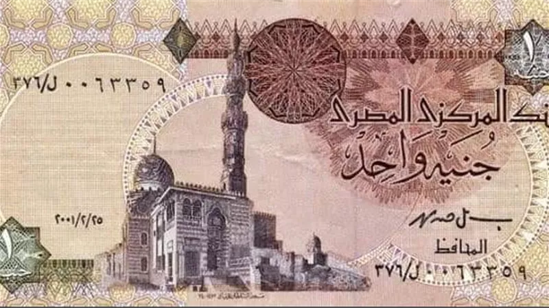 رسمياً.. الجنيه المصري على بعد 17 قرشاً من الوصول لـ 31 للدولار الواحد 
