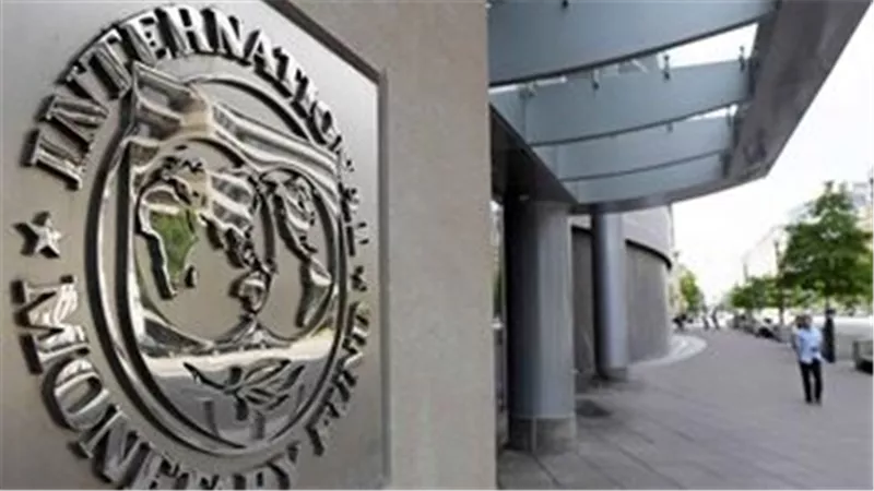 خبراء: صندوق النقد الدولي يستطيع مساعدة الدول النامية على حل أزمة الديون المتصاعدة