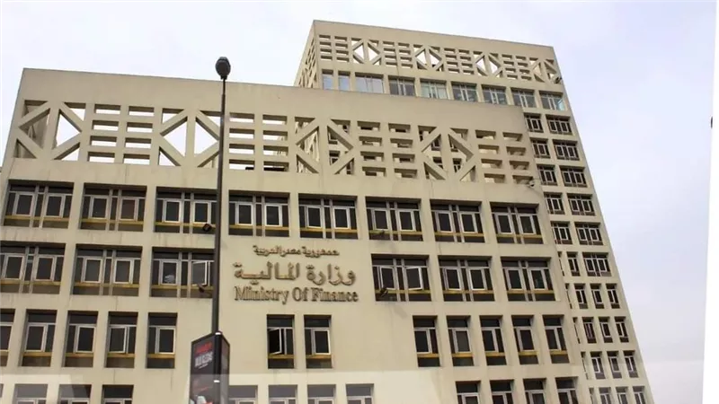 ضمانات القروض والتسهيلات ترتفع إلى 29.73% من الناتج المحلى فى يناير