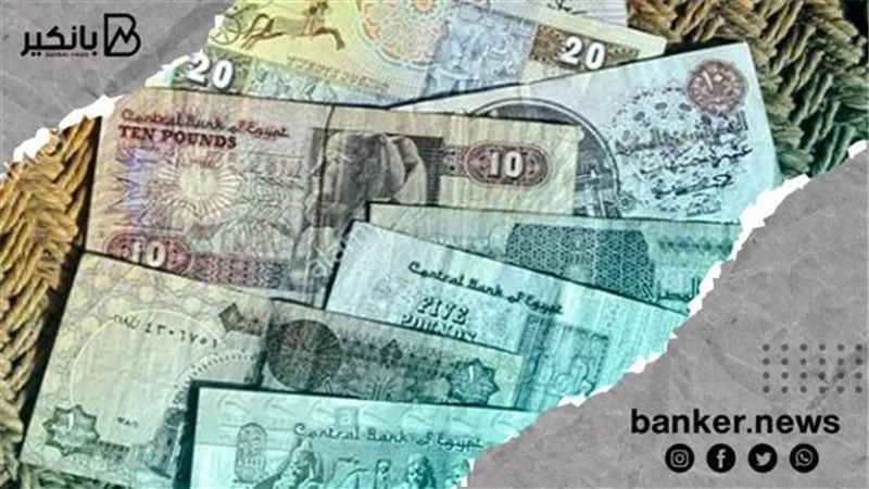 ازاي تعرف الفلوس الاصليه من المضروبة وتعمل ايه لو اكتشفت انها مزورة