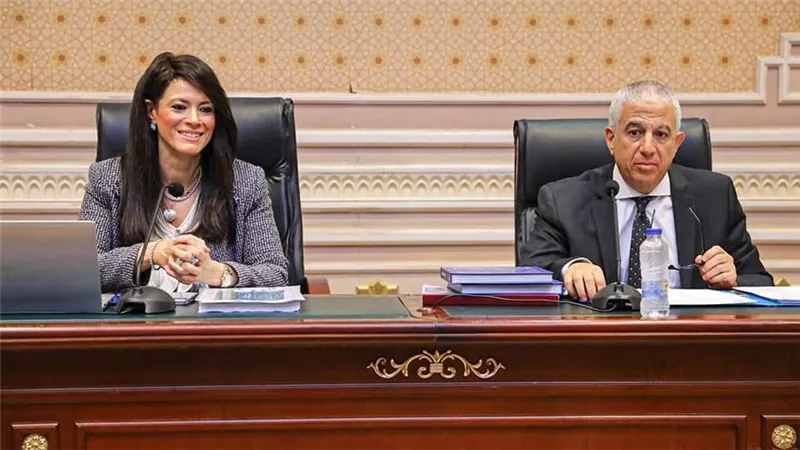 التعاون الدولي: توفير منح بقيمة 483 مليون دولار خلال  2022 لمختلف القطاعات