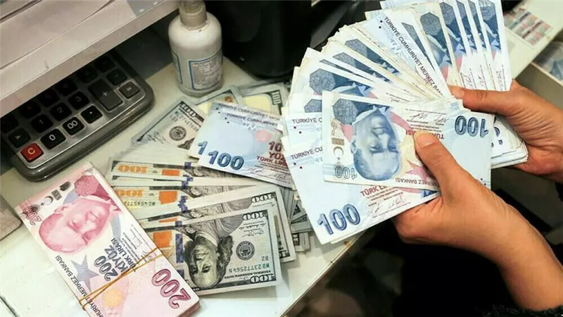 استقرار الليرة التركية.. وارتفاع الاحتياطي النقدي الأجنبي لدى المركزي التركي