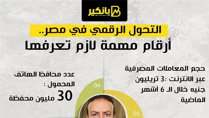 التحول الرقمي في مصر.. أرقام مهمة لازم تعرفها