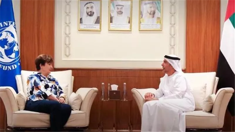 محافظ مصرف الإمارات المركزي يبحث مع مديرة صندوق النقد الدولي التعاون في التمويل الأخضر