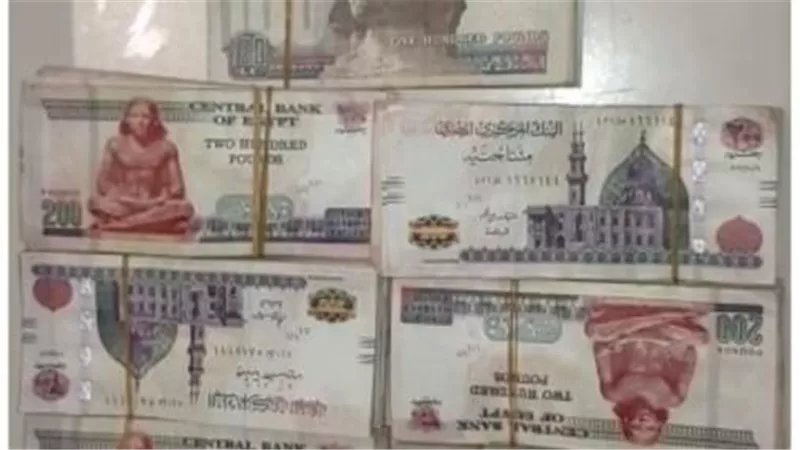 هل دا وقت مناسب لتأسيس مشروع في مصر ولا لأ؟