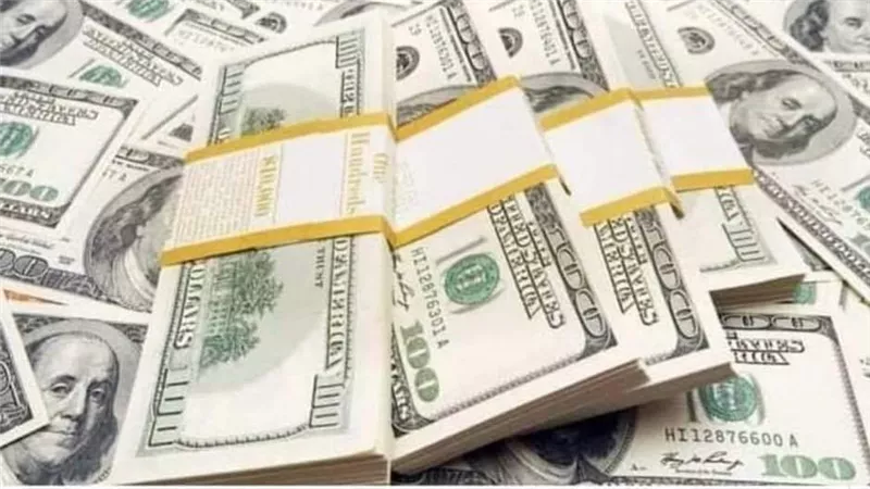 إطلاق أول وثيقة معاش بالدولار للمصريين بالخارج