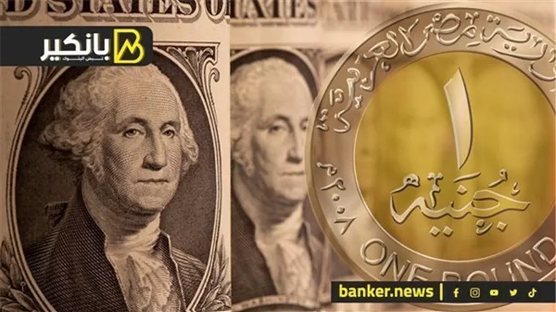 خبير اقتصادي يكشف سبب تراجع سعر الدولار أمام الجنيه