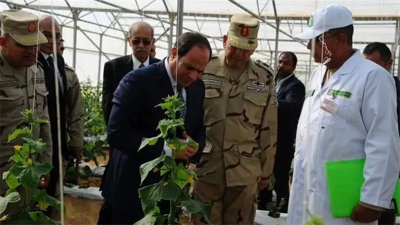 أول رد في مصر على خراب مشروع ضخم في قاعدة عسكرية