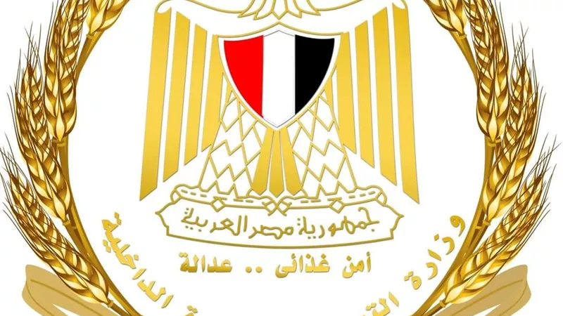 تظلمات الدعم 2026.. التموين تتيح تحديث البيانات عبر 500 مكتب بريد ومنصة مصر الرقمية