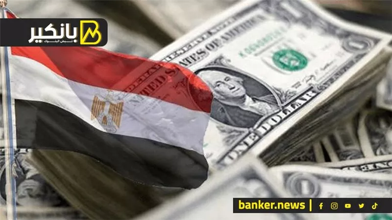 لتعزيز السيولة الدولارية.. الحكومة تعتزم بيع بنك آخر وشركة بلاستيك