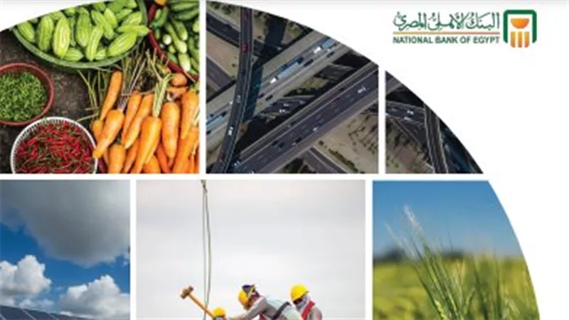 البنك الأهلي المصري يصدر أول تقرير شامل عن مبادئ الصيرفة المسئولة للعام المالي 2022