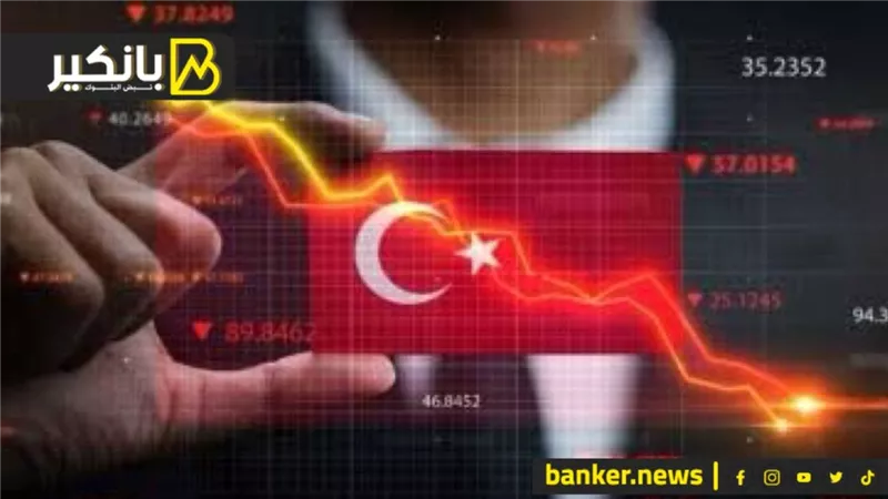 هجوم تركي على الاستثمار فى مصر..ضخ كميات اضافية من السكر والأرز.. وميزان المدفوعات يحقق فائضا كبيرا