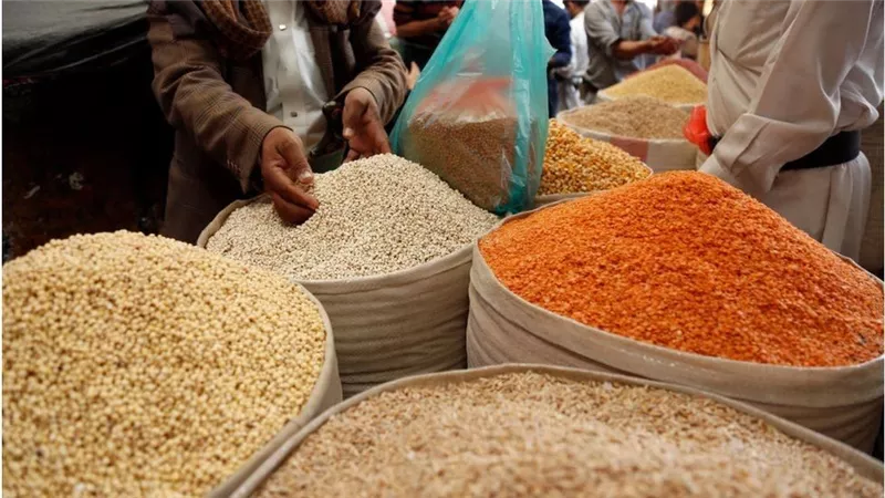 الأمم المتحدة: استقرار أسعار الغذاء العالمية في يونيو