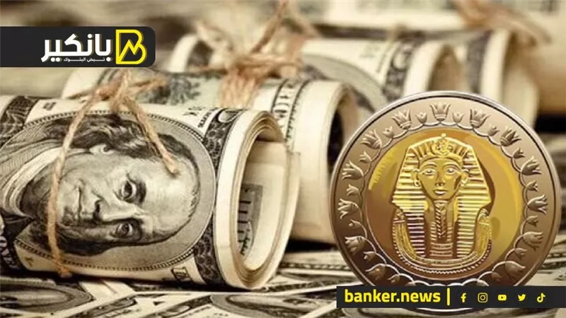 سعر الدولار أمام الجنيه المصري في تعاملات اليوم الجمعة 13-10-2023