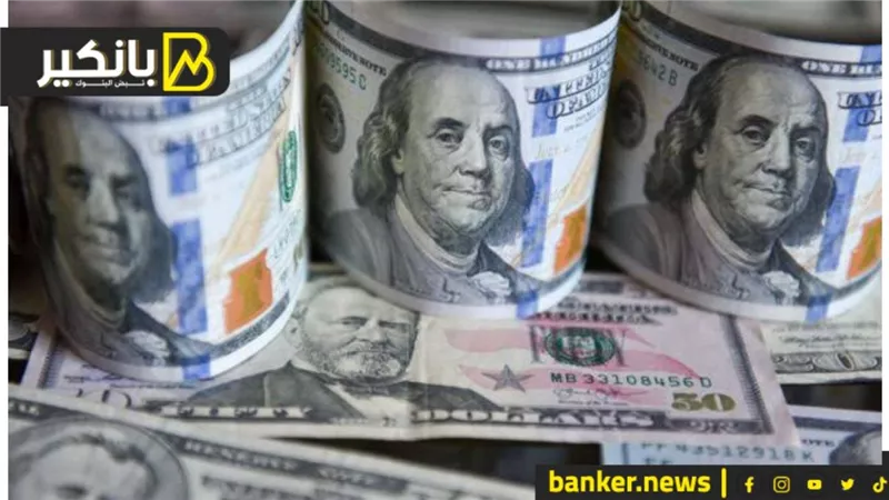  22.55 مليار دولار الاحتياطي النقدي الأجنبي بالبنك المركزي التركي