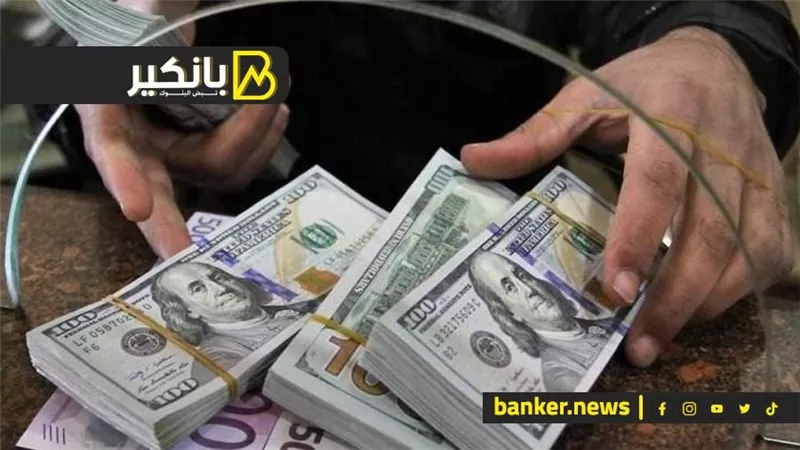 خدمة بخدمة وسلعة قصاد سلعة.. تصرف غريب من الحكومة لتوفير الدولار