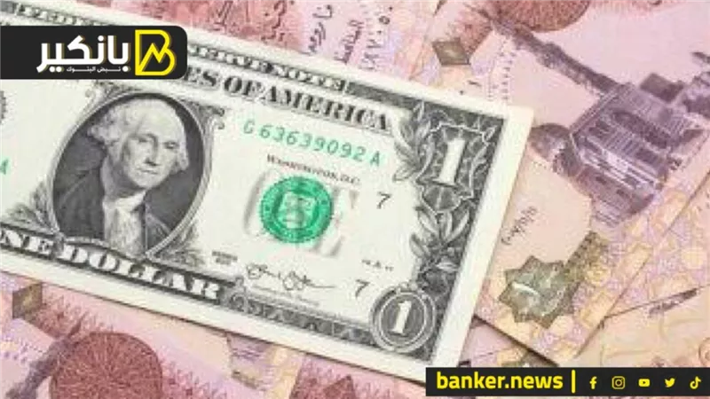 سعر الدولار أمام الجنيه المصري في تعاملات اليوم الإثنين 13-11-2023