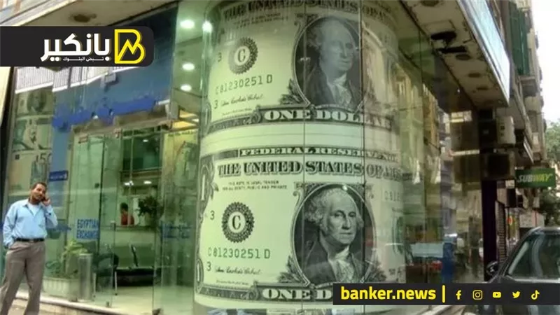 أخيرا مصر هتحل أزمة الدولار.. هنقولك إزاي بالأدلة والتفاصيل