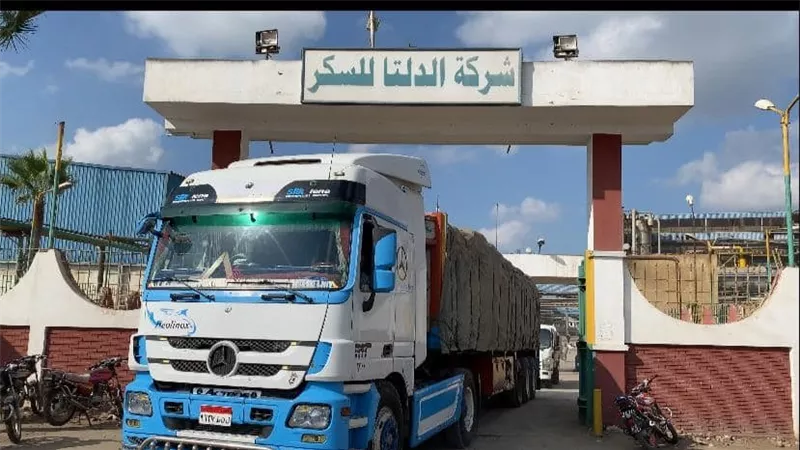 التموين: زيادة معدلات ضخ السكر لصالح القطاع الخاص لتوزيعها على المنافذ والسلاسل التجارية