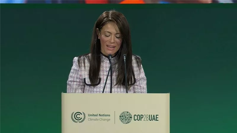 المشاط تناقش تعزيز تمويل التنمية مع مسئول بالبنك الدولي