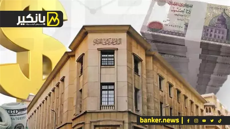 فلوس زي الرز.. أحسن 7 شهادات ادخار بدورية صرف عايد ربع سنوي