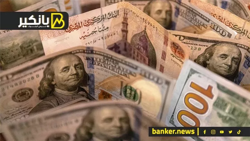 آخر تحديث لسعر الدولار أمام الجنيه اليوم الأحد 31-12-2023 في مصر