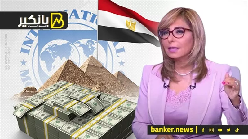 إيه حكاية القرض أبو 12 مليار دولار.. ولميس جابت الكلام منين