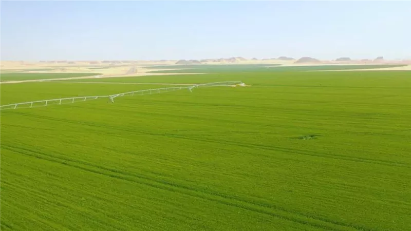 مشروع مصر العملاق .. أكبر مجمع لصناعات الأغذية الزراعية في الشرق الأوسط