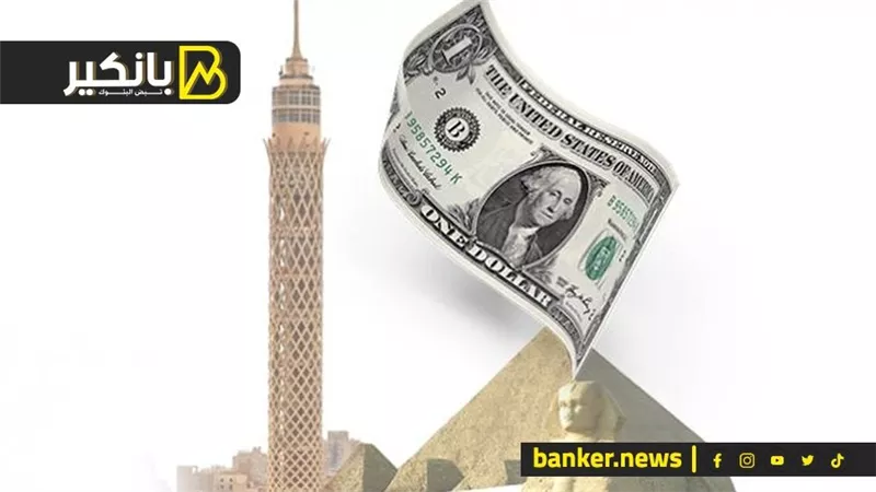 التخطيط: الدين الخارجي لمصر تراجع 206 ملايين دولار في 3 أشهر