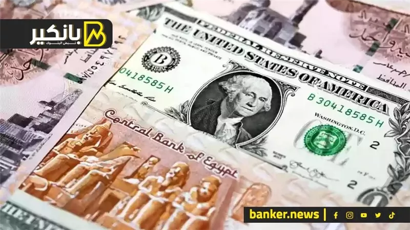 سعر الدولار أمام الجنيه المصري في تعاملات اليوم الأحد 14-1-2024