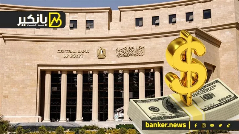 مسؤول حكومي سابق: التعويم هو الحل الوحيد للقضاء على السوق السوداء