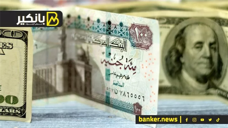 سعر الدولار أمام الجنيه المصري في تعاملات اليوم الأحد 21-1-2024