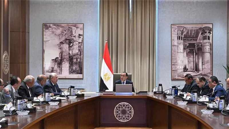 مدبولي يوجه بضرورة وضع خطة لإنتاج 100 طن من الحرير سنويا