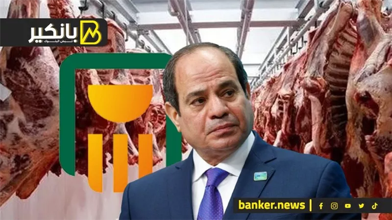 السييسي يضرب أزمة اللحوم باتفاقية دولية... وحصيلة جديدة لشهادات الإدخار في الأهلي المصري.. وصدمة في سوق الألبان