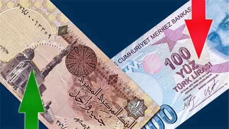 سعر الليرة التركية أمام الجنيه المصري في تعاملات اليوم السبت 17-2-2024