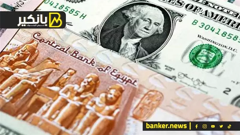 سعر الدولار أمام الجنيه المصري في تعاملات اليوم السبت 17-2-2024