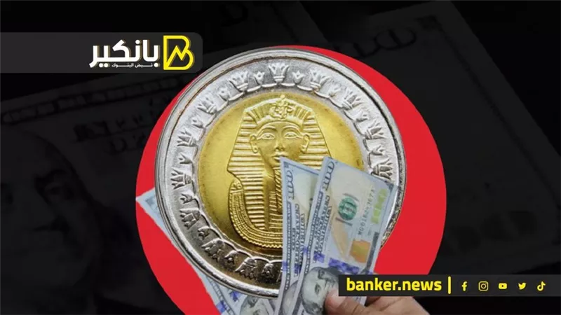 ضربة قاضية لتجار العملة.. سقوط «حوت كبير» على صحراوي الإسكندرية