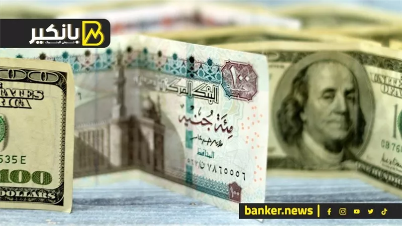 سعر الدولار أمام الجنيه المصري في تعاملات اليوم الإثنين 19-2-2024