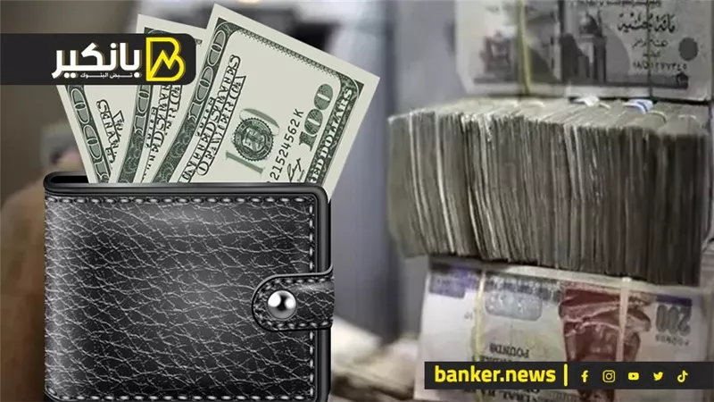 انتهاء أزمة الدولار في مصر خلال أيام.. بنك عالمي يتوقع انتعاشة اقتصادية كبرى