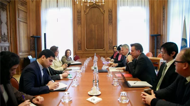 وزيرة التخطيط تبحث تعزيز التعاون مع الأمين العام لمنظمة التعاون الاقتصادي