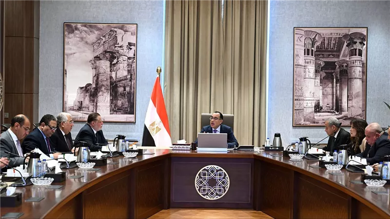 الوزراء: انخفاض أسعار الذرة وفول الصويا.. ومتابعة مستمرة لحركة الأسواق