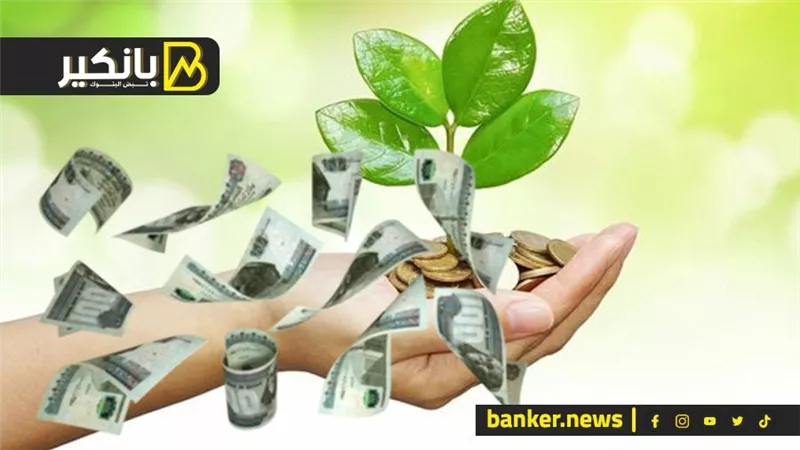 فكر الاستثمار الجديد وهتك السيادة .. تخاريف كدابين الزفة
