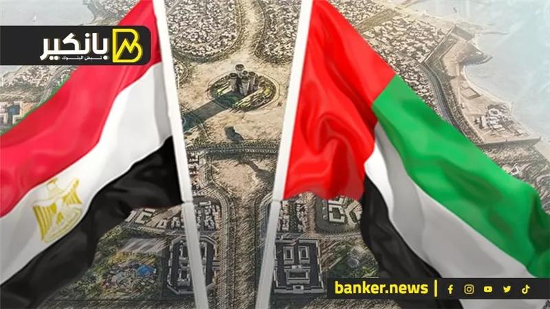 الأسعار بدأت تنزل.. رأس الحكمة تكسر الاحتكار والغلاء في الأسواق