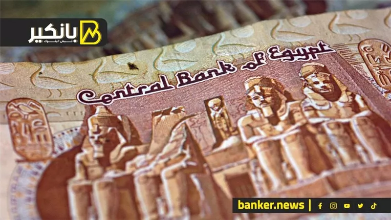 متحدث الحكومة : الدولة أصبحت مستعدة لتوحيد سعر الصرف والبنك المركزي هو صاحب القرار في التوقيت المناسب